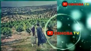 Хит  Терма кушиклар __ УЗБЕКЧА ШУХ  ТЕРМА КУШИКЛАР __ TOP 50 UZBEKCHA QO'SHIQLAR