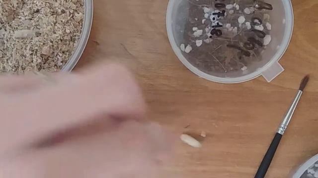 Неделя с питомцами|| День второй| День с пауками смотреть онлайн