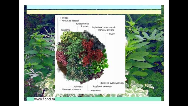 Схемы клумб из многолетников с ассортиментной ведомостью. Для садов с малым уходом. Моя работа. смотреть онлайн