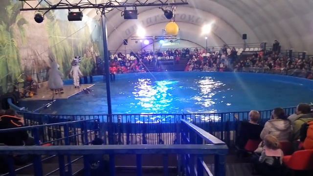 Шоу дельфинов "Мадагаскар" СПб смотреть онлайн