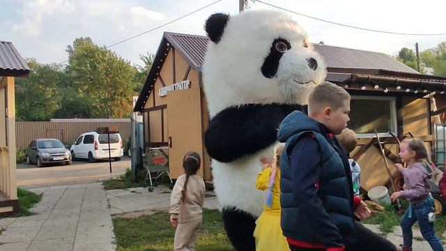 🔥🔥🔥Нападения детей на панду!!!! 😄😄😄 смотреть онлайн