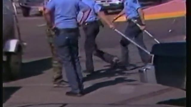 Rescue 911 - bear rescue смотреть онлайн