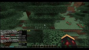 ГАЙД!как сделать префикс в одиночке без модов и плагинов в майнкрафт!