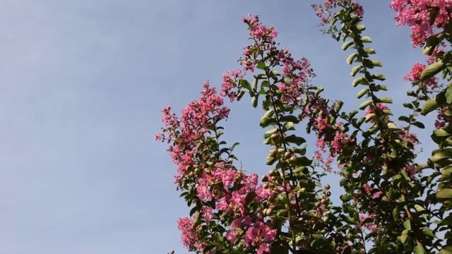 Красивая инструментальная музыка для души без слов. Аверьянов Сергей