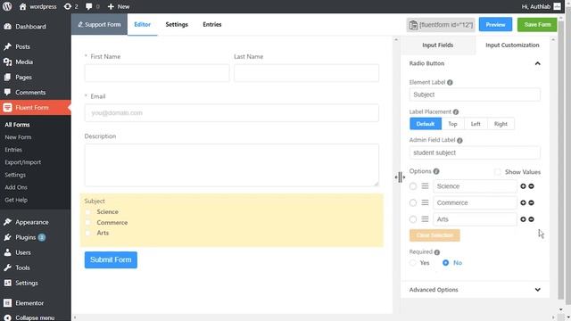 Radio Button in WP Fluent Form WordPress Plugin смотреть онлайн