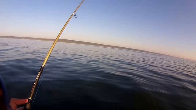 Судак из под коряги... смотреть онлайн