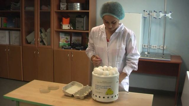 Мастер - класс «Определение качества продовольственных товаров» смотреть онлайн