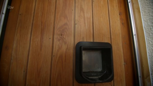 Secret Life Of Dogs S01E03 We Are Family