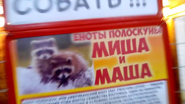 Зоопарк у меня в городе смотреть онлайн