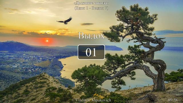 Дыхание сокола (вдох 1 сек., выдох 7 сек.)