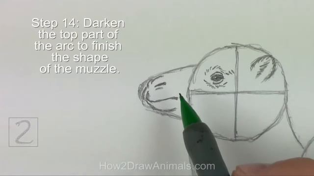 Как нарисовать двухгорбого верблюда смотреть онлайн