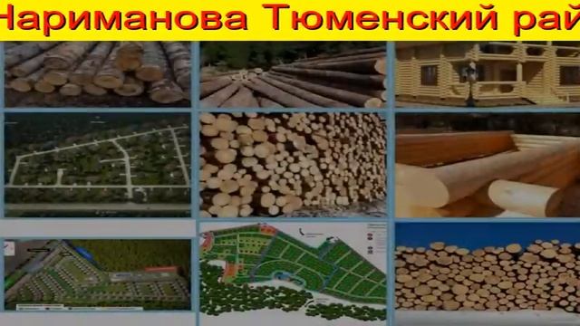 береза кругляк цена за куб оптом в Тюмени смотреть онлайн