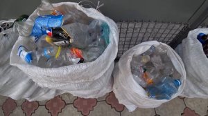 Сколько можно заработать собирая пластиковые бутылки?