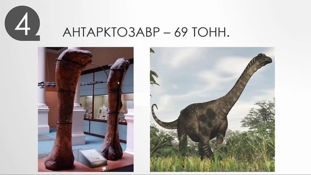 Топ Самых Больших Динозавров. смотреть онлайн