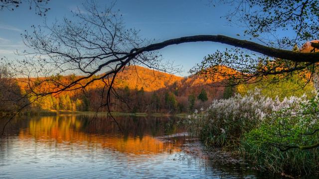 Wilhelm Kempff - Beethoven - Piano Sonata No 13 in E-flat major, Op 27 смотреть онлайн