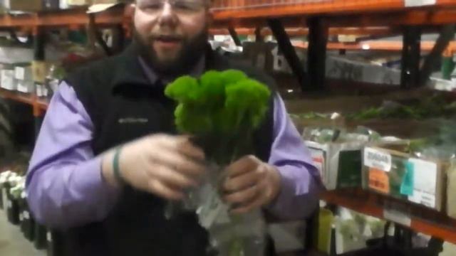 3 Jan 2013 Cooler Walk смотреть онлайн