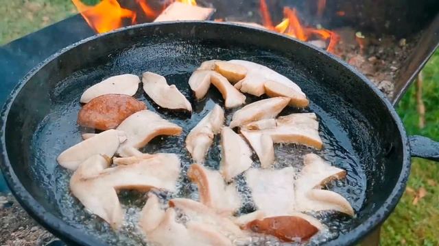 БУРЕК С МЯСОМ И ГРИБАМИ | BREK WITH MEAT AND MUSHROOMS смотреть онлайн