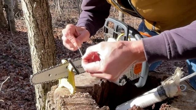 Cutting firewood with STIHL MS151 and micro chain смотреть онлайн