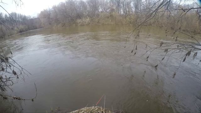 ЭТА РЫБИНА ОТРЫВАЕТ ПОВОДКИ РЫБАЛКА НА ДОНКУ В АПРЕЛЕ смотреть онлайн