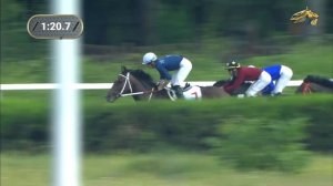 10-я Скачка. ПРИЗ ЭЛИТЫ (ГР. 2) Нальчикский ипподром 17.06.2023