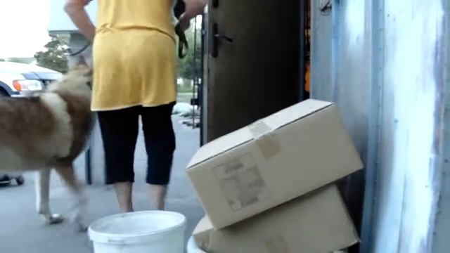 семейка адамсов смотреть онлайн