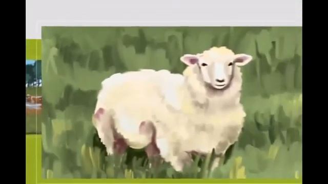 5 сынып. Қазақстан тарихы. Ежелгі Қазақстанға саяхат 1 сабақ смотреть онлайн