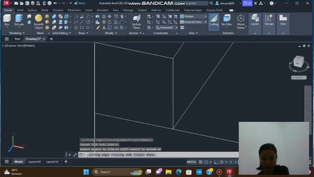 video record autocad gambar 4 Stevanie ( 2301030067 ) смотреть онлайн