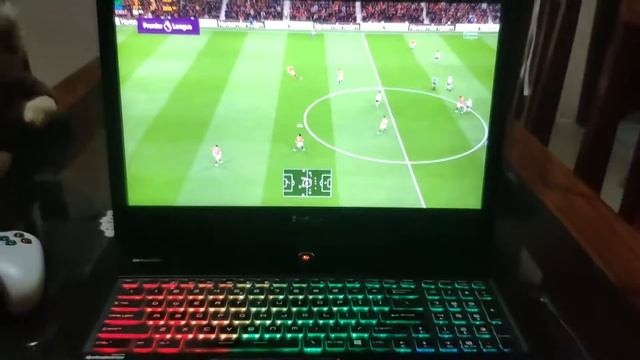 Notebook MSI GS72 6QE I7 6700HQ 16gb ram GTX 970M смотреть онлайн