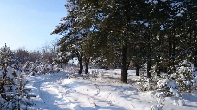 Сказка настоящая! Зимушка зима :) смотреть онлайн