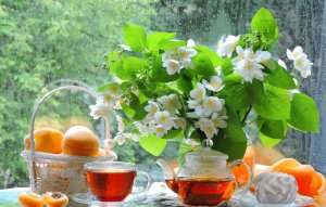 Стихи до слез Эдуард Асадов. С вечера поссорились супруги. Любимые стихи