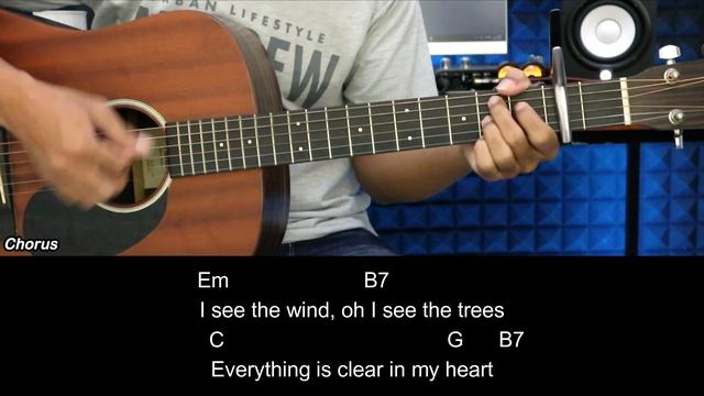 Oh My Love - John Lennon | EASY Guitar Lessons for Beginners - Chord & Strumming Pattern смотреть онлайн