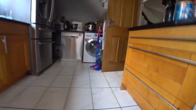 Мой кот умеет делать трюки (Англичанин говорит)