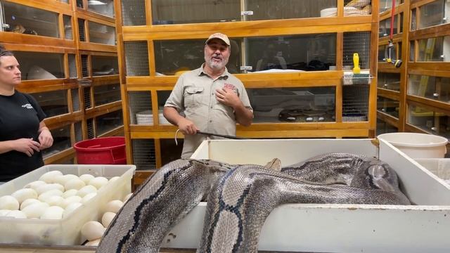 Grumpiest Snake EVER ?? (Snake Bite) смотреть онлайн