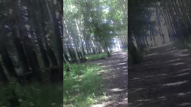 Вызов Слендер Мена ( 2 часть) смотреть онлайн