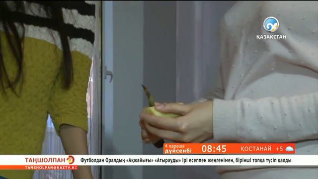 Зімбірдің пайдасы смотреть онлайн