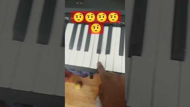 is my keyboard SUS? 😳 смотреть онлайн