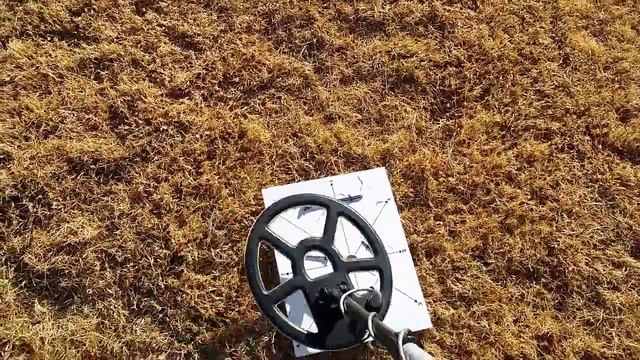 Tesoro Tejon Nailboard Test