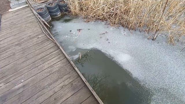 Красота на реке, но не в радость смотреть онлайн