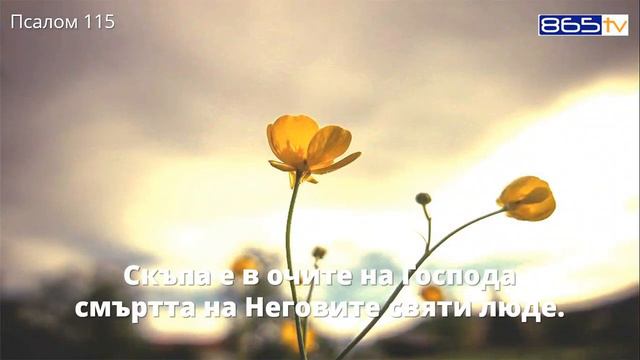 Псалом 115 смотреть онлайн