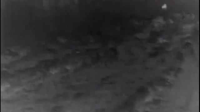 охота на кабана. съёмка pulsar Helion 38. смотреть онлайн