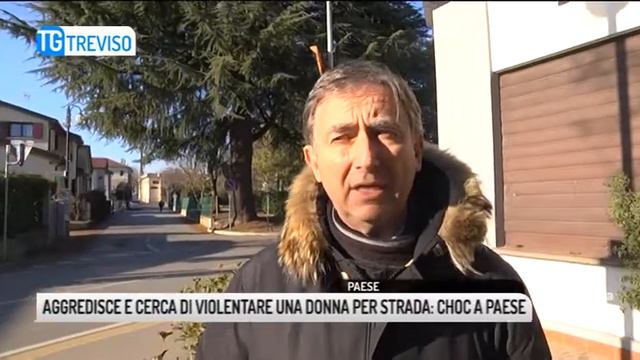 TG TREVISO (24/01/2019) - AGGREDISCE E CERCA DI VIOLENTARE UNA DONNA PER STRADA: CHOC A PAESE смотреть онлайн