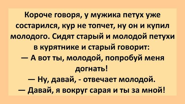 Хозяин купил молодого петуха взамен старому. Анекдот дня! Длинные смешные до слез анекдоты! смотреть онлайн