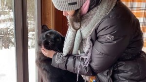 ?У пантеры Луны 100 тыс. Подписчиков ? / Реакция леопарда  на незнакомцев ?