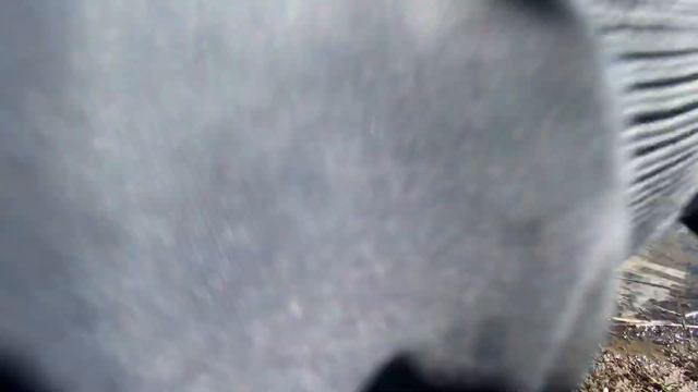 Щука 2020 на малой реке. ДжигРиг. CrazyFish Arion ASR832LS