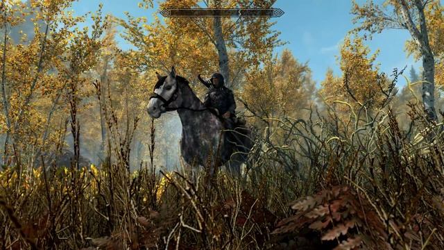 The Elder Scrolls 6 ● Механика выживания в TES 6 смотреть онлайн