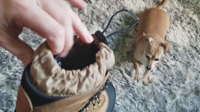 Best Snow Boots for Men (Sorel Conquest Winter & Snow Boots -40 Degress F Gear Review) смотреть онлайн