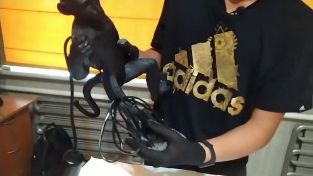 Хотели светильник✅, а пришла обезьяна! ?Мы были в шоке?! Заказал с aliexpress обезьяну светильник. смотреть онлайн