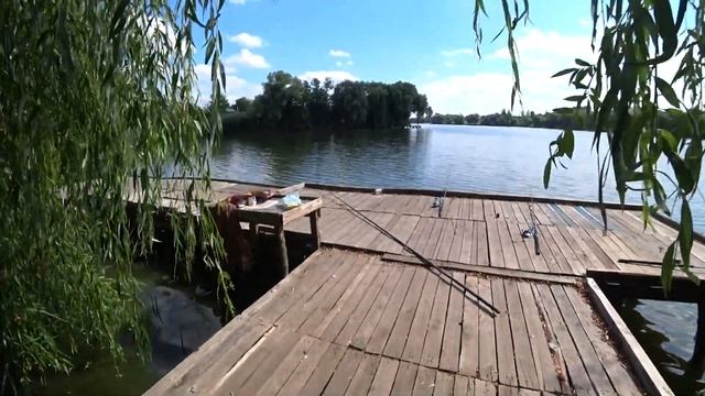 Ловля КАРАСИКА в КРАСИВОМ МЕСТЕ смотреть онлайн