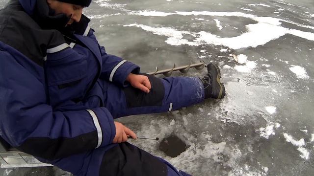 Леднево 6.12.14 смотреть онлайн