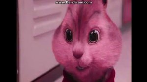 бурундуки - моя милодея )))